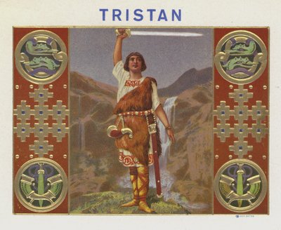 Tristan - American School